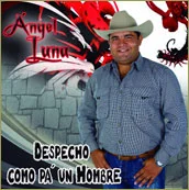 angel-luna